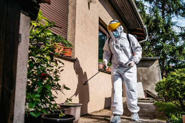 Best Wasp Removal Services  in Martinez, CA