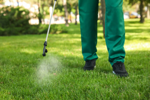 Best Pest Control for Restaurants  in Martinez, CA