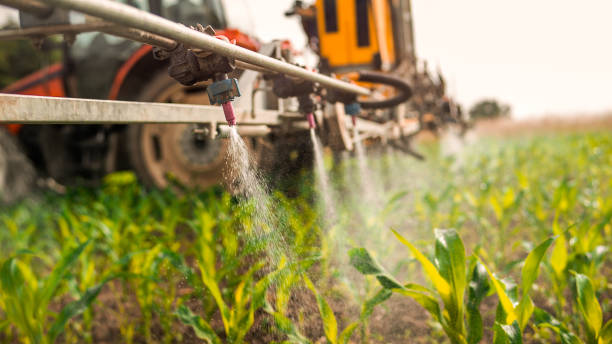 Best Commercial Pest Control Services  in Martinez, CA